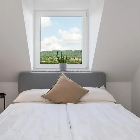 公寓 Lofts - Stilvolles Loft Im Gruenen Mit Balkon Nahe Vw-werk 卡塞尔