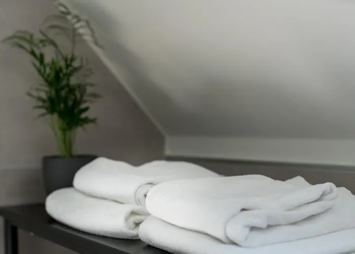 Appartement Lofts - Stilvolles Loft Im Gruenen Mit Balkon Nahe Vw-werk Kassel